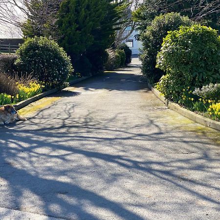 Rose Cottage Captivating 1-Bed Cottage In Bangor 外观 照片